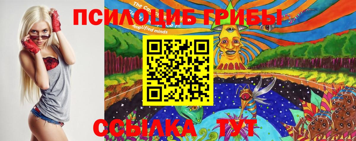 Подольск  Псилоцибиновые грибы мухоморы  Вход с VPN 